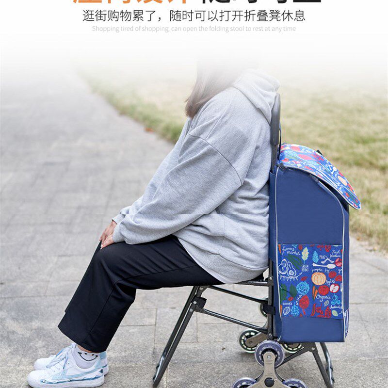 购物买菜小拉车带坐老人有椅可坐拉杆车便携O折叠休闲上楼梯小推