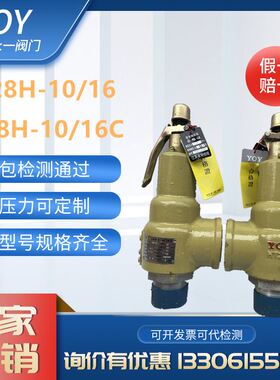 罗浮天正永一安全阀A28H-10/16/25/40C/P弹簧式外螺纹泄压DN2540
