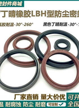 氟胶/丁晴橡胶LBH防尘密封圈35.5/38/40/45*43.5/46/48/53*5/6.5