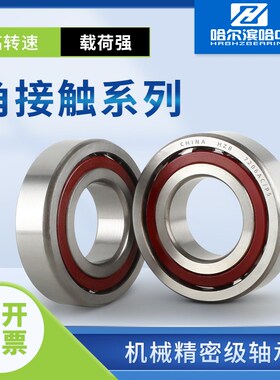 哈尔滨角接触球轴承型号大全7407AC 7410AC P5 精密 高速 主轴