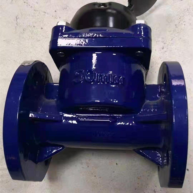 农用灌溉水表排污专用水表可拆卸高通过污水DN50DN6580DN100DN150