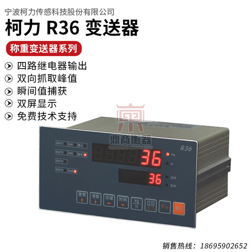 称重仪表R36峰值测力机/峰值瞬间扑捉/测力仪表压力拉力