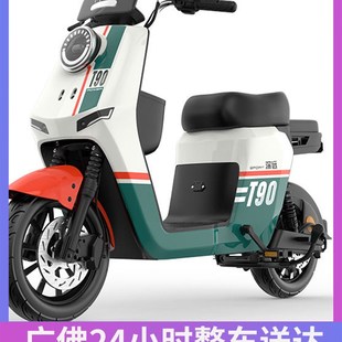 深远T90动力版新国标锂电池电动车外卖版