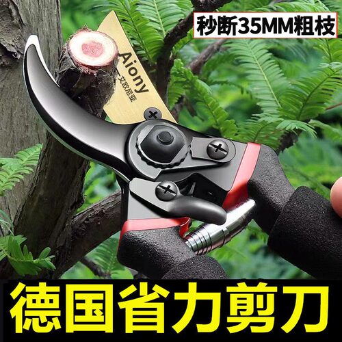 德国进口艺园剪刀剪树枝专用剪刀修枝剪果树剪花园林园艺剪子日本