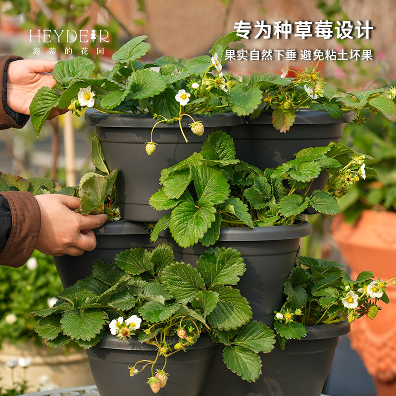 海蒂的花园环球星格尔组合草莓盆创意立体塑料花盆种花种菜种草莓