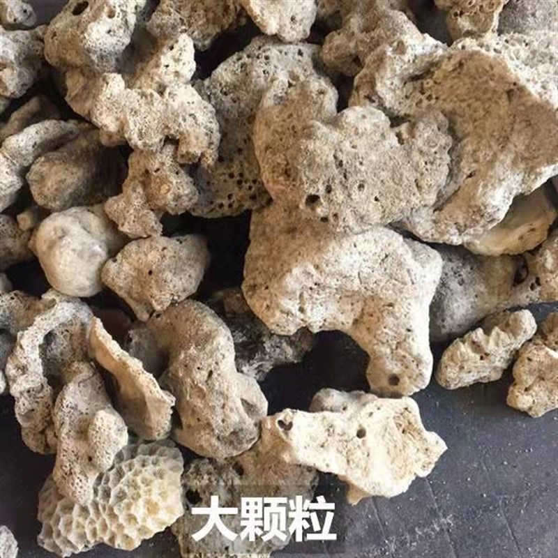珊瑚骨滤材鱼缸过滤材料鱼池珊瑚石底砂水族箱造景沙X稳定净化水