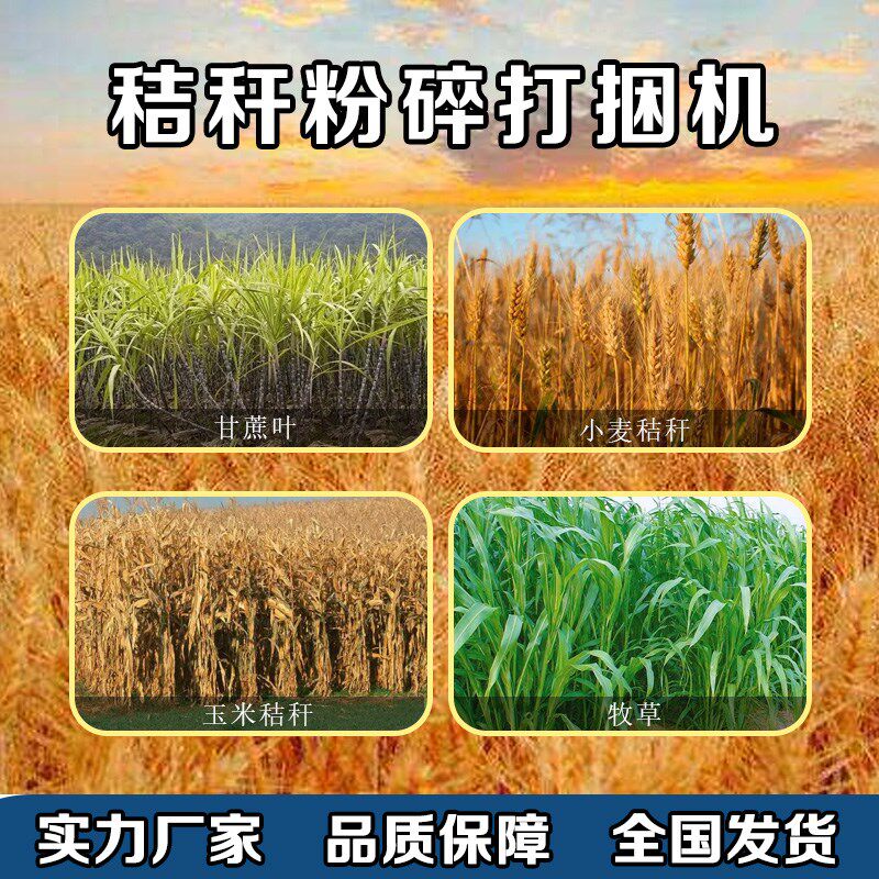 秸秆粉碎打捆机全自m动玉米秸秆稻草麦草捡拾打捆机青储收草机农