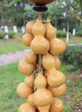 天然葫芦串挂饰客厅墙壁招财挂件B云南民族手工艺摆件中式家居装