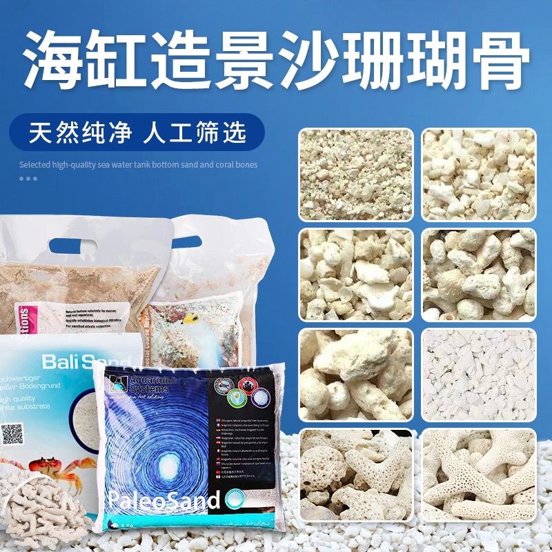 海缸造景珊瑚沙海沙菲律宾沙子粗沙细沙天然鱼缸底砂海砂珊瑚骨石