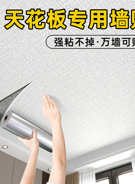 天花板贴纸自粘屋顶吊顶装饰w遮丑自装墙纸房顶棚顶隔音客厅墙贴