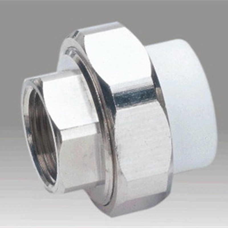 埃美柯789PPR内丝活接头201/2(内有各种规格)