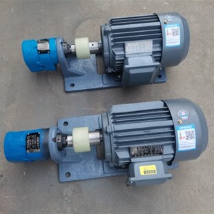齿轮泵电机组 SZ齿轮油泵电机组卧式 WBZ 25GW WBZ2
