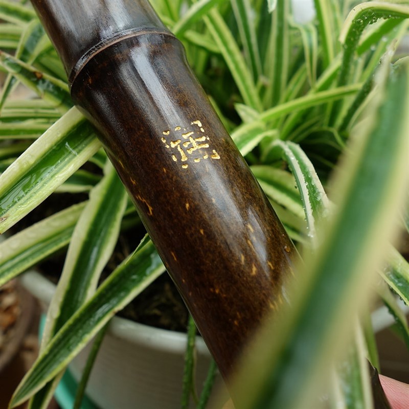 (2021050l8)任箫G调正手八孔洞萧 83.5cm