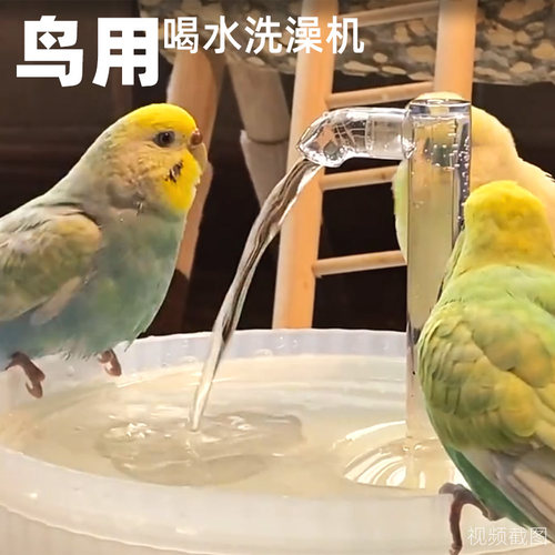 鸟儿喝水洗澡机电自动循环流动水龙头智能用电小M宠物饮喂用品