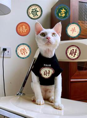 无毛猫衣服斯芬克斯德文秋冬加绒打底卫衣国潮猫咪狗狗保暖外套潮