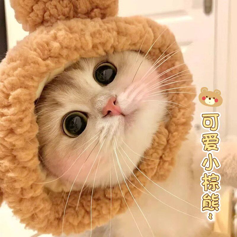 宠物猫咪安抚耳罩头套隔音塞过年鞭炮噪音I护狗狗坐车防焦虑应激l