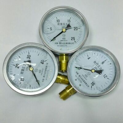 雷尔达仪表有限公司 耐震压力表 0_0.1 0.16  25 40 60 100mpa