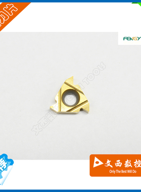 FENGYI/成都锋宜 数控螺纹刀片16ER AG60 M20 P30 钢件 不锈钢