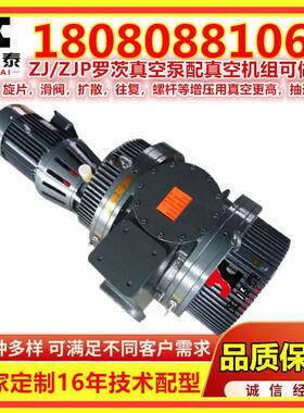 ZJ/ZJP2500罗茨真空泵15/2KW茨泵真空浸渍周口250783650LS/真罗2
