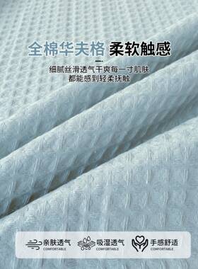 六面全包纯棉笠床垫子保护套全棉床罩学生宿舍专90x19用床X-MBS25