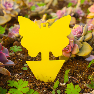 双面粘虫板花型黄板支撑架小飞虫诱虫板盆栽多肉粘虫板支架诱补器
