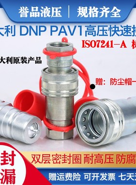 意大利DNP液压快速接头原装进口PAV1.1313油压高压双自封快插
