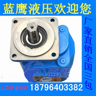 CBKP100 CBKP80 CBKP50 CBKP63装载机铲车自卸吊车工作液压齿轮泵