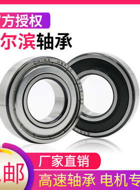 哈尔滨轴承6322 2RS 2RZ