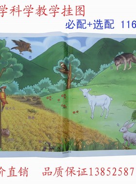 59003-59007 小学科学教学挂图 全套116幅 必配+选配 教学仪器