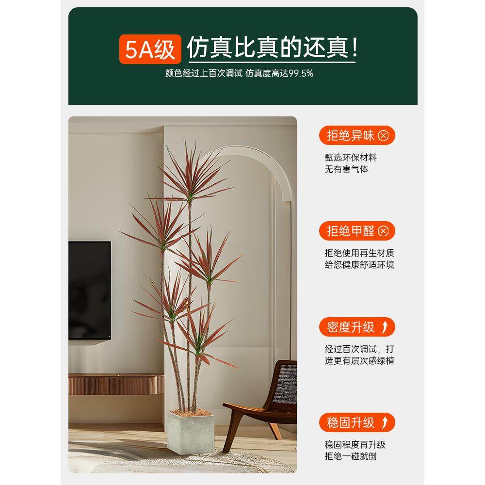 F7768HM6千龙年木绿植奢大型室内客厅轻血树花植物盆栽假落地摆件,鲜花速递/花卉仿真/绿植园艺,仿真花,淘宝优惠券,粉丝福利购,淘宝优惠卷