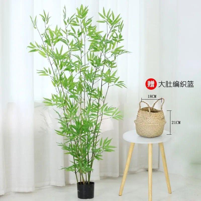 竹AL100004绿植落地盆子栽竹内装饰假室竹绿植子网红新款造景装饰