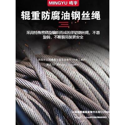 20V卷扬家用装修小UQJ吊机建筑电动葫芦12吨2起重提小型升降机升
