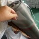 不锈钢网厂家 304不锈钢编织网筛网 现货不锈钢金刚网窗纱网