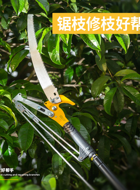 摘果器高枝剪果树树枝剪摘果剪高空加长伸缩摘果神器龙眼柿子剪刀