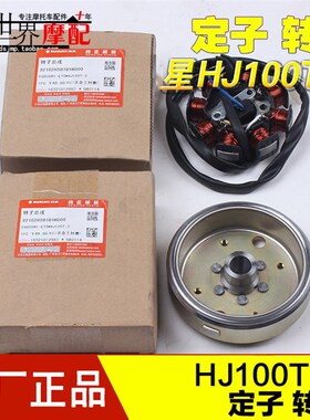 踏板摩托车时代之星HJ100T-2时尚之星HJ100T-3磁电机线圈定子总成