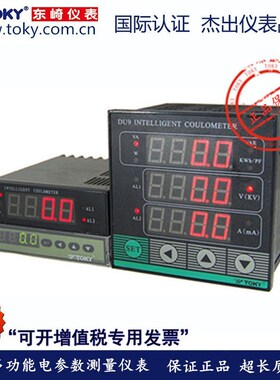TOKY东崎仪表 DW8-RC18B DW9-RC18B 单相多功能电参数测量仪表