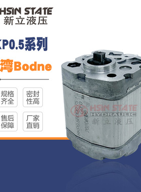 齿轮泵BKP0.5B0D1.00/D0.75/D0.65/0.88/D1/D1.5/D1.75/2.0GOL0-B