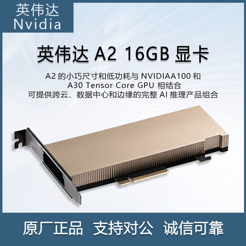 英伟达(NVIDIA)A216GB