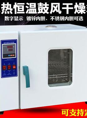 DHG101-00/1/2/3/4电热恒温鼓风干燥箱 恒温干燥箱烘干箱工业烘箱