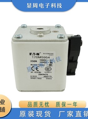 保险丝熔断器170M5955 170M5956 170M5957 170M5958 170M5959