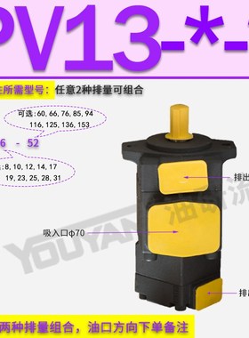 PVD PVF PV PVL油泵PVF13定量14双联叶片泵12 13 23 21 31 32