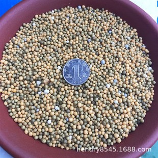 4个月肥效 绿萝等观叶植物3 美国奥绿缓释肥F1 草花用长效控释肥