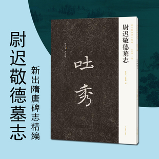 尉迟敬德墓志新出隋唐碑志精编楷书碑刻书法书法字帖碑帖书籍书法赏析河南美术出版社
