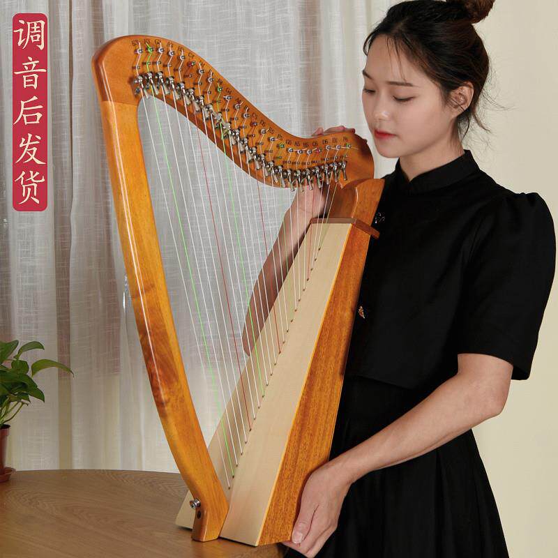 zn19弦莱雅小琴2弦竖琴里拉琴M23弦592初学者2易学便携式古风众乐