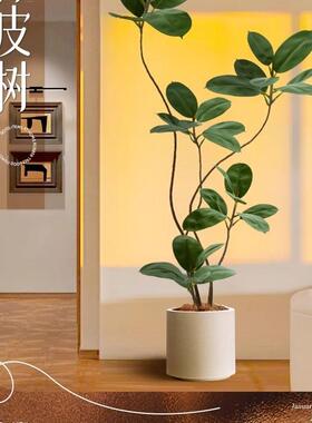 型大客厅落地摆件室内沙发电视柜旁边假植物黑金刚绿橡TLT皮仿真