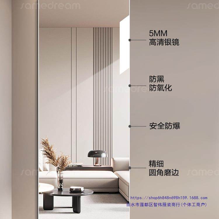 全身镜上墙镜墙穿衣壁挂式玻璃大子挂家无框穿衣用试衣镜子贴墙镜