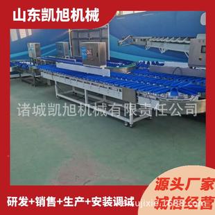 凯旭重量分拣机黄花子鱼鲅鱼大743小分级海蛎全动自清洗机分选设