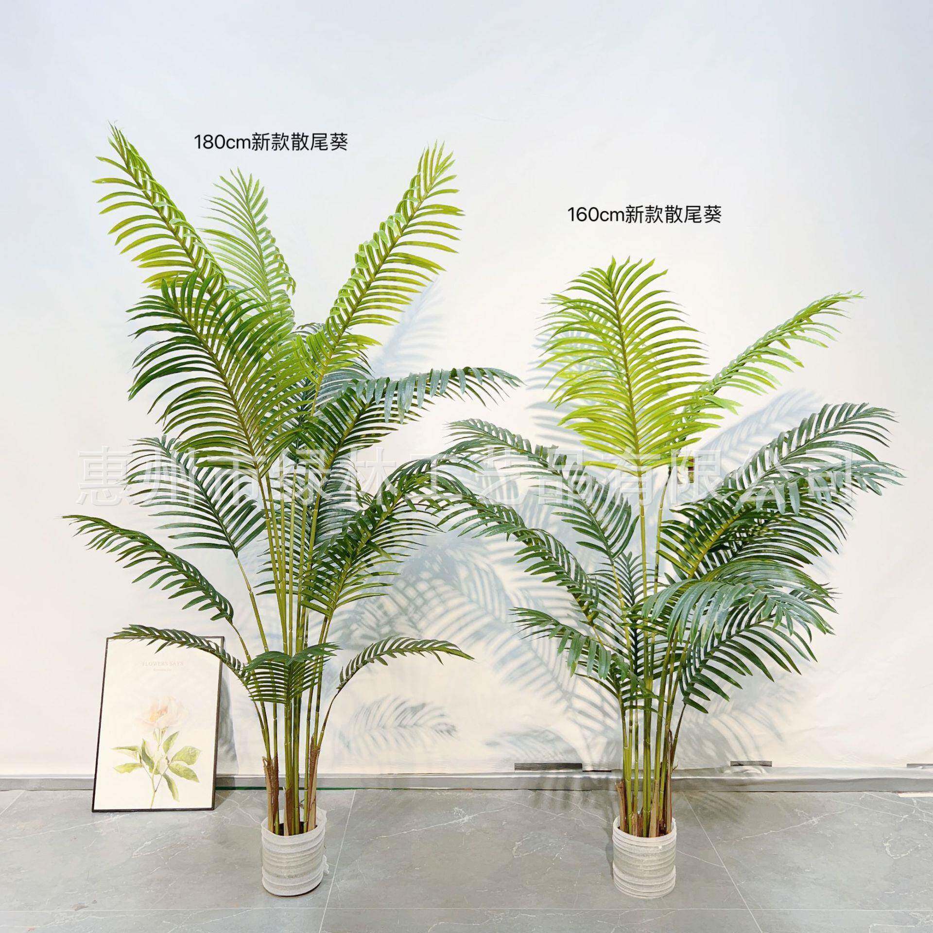 仿真凤尾葵家全机做饰绿植盆栽散尾葵居装落地113盆栽凤尾现货绿