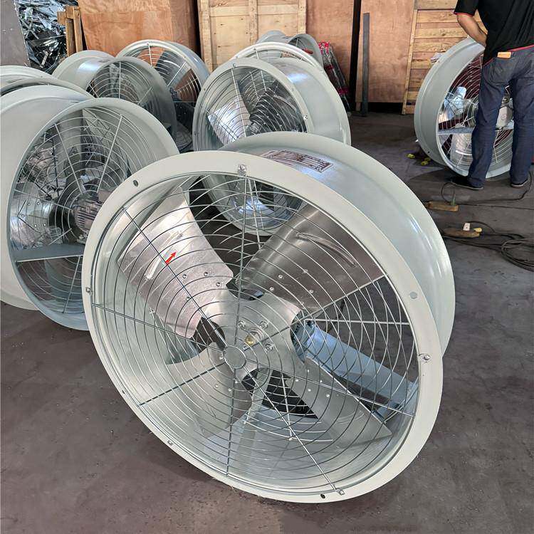 DBF变主风HMK机变压器降温轴流风机CFZ变压器却风DBF机2-7Q8冷TH