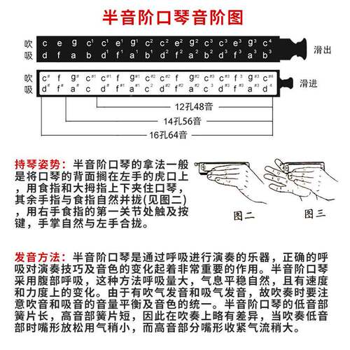 孔声天LYRA-12琴半音口琴12孔48音金属初琴阶格新手成人学专业座